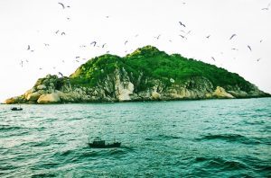 Hình ảnh Đảo Yến được chụp khi ngồi trên thuyền